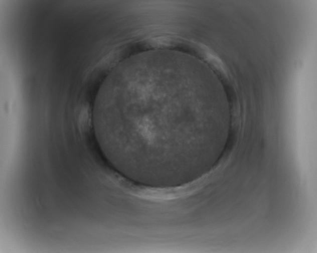 X0000116100029200911231134