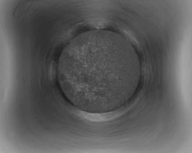 X0000116100030200911231134