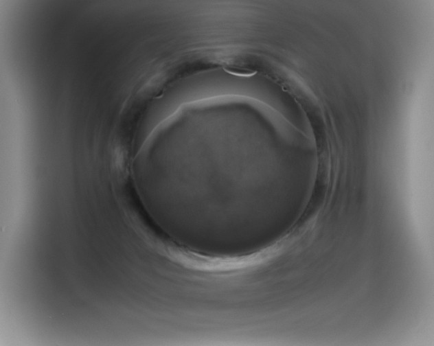 X0000116100031200911231134