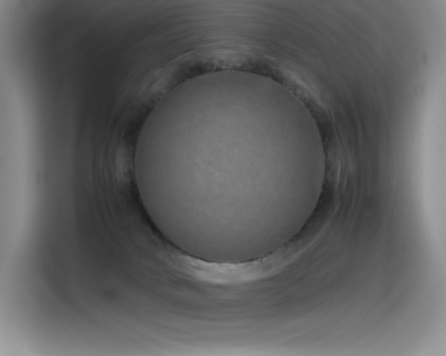 X0000116100034200911231134