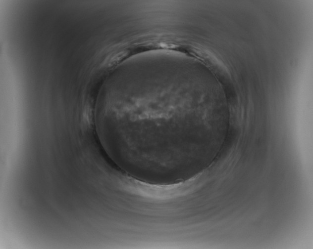 X0000116100035200911231134