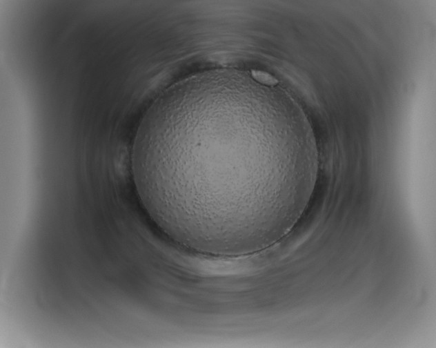 X0000116100036200911231134
