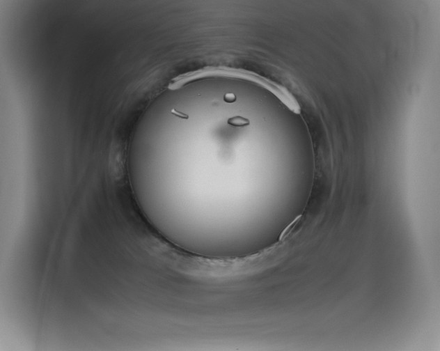 X0000116100037200911231134