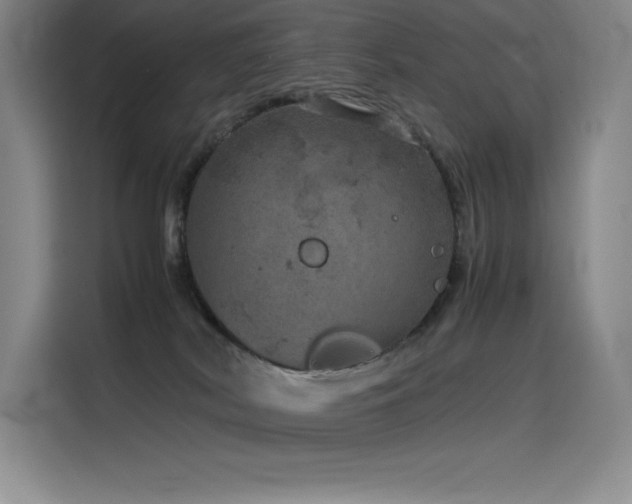X0000116100038200911231134