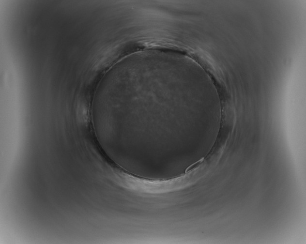 X0000116100039200911231134