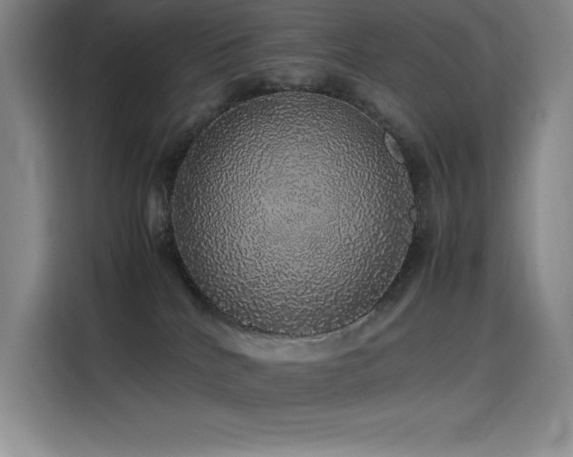 X0000116100040200911231134