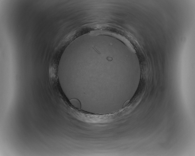 X0000116100044200911231134