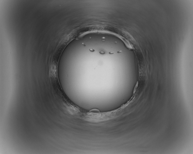 X0000116100045200911231134