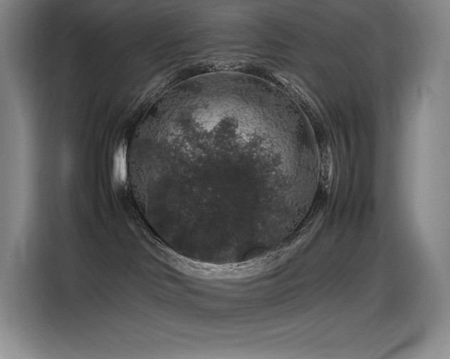 X0000116100046200911231134