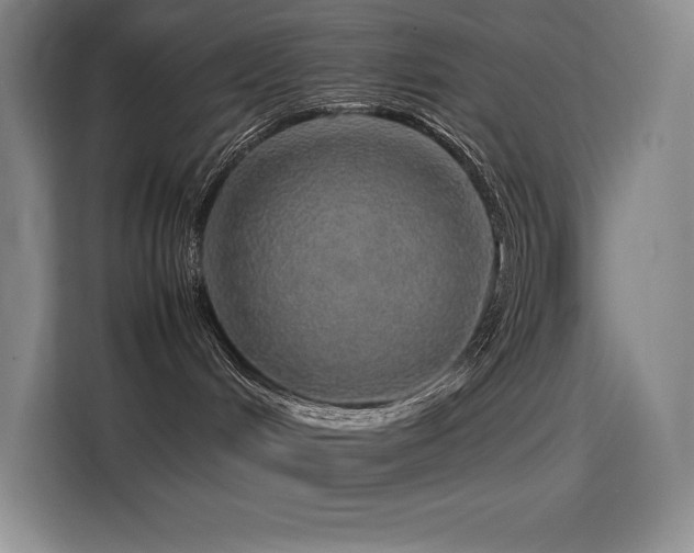 X0000116100048200911231134