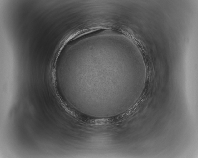 X0000116100050200911231133