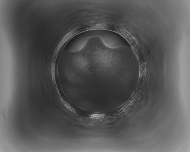 X0000116100051200911231133