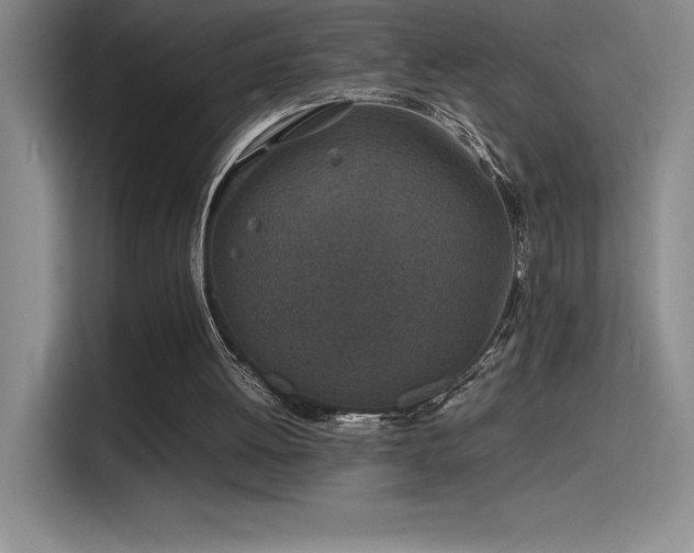 X0000116100052200911231133