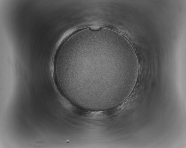 X0000116100054200911231133