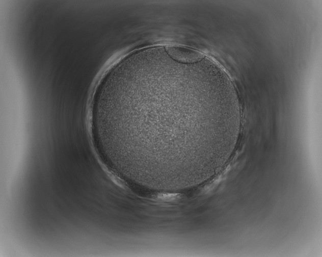X0000116100055200911231133