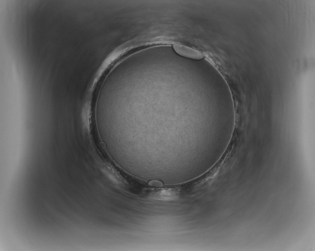 X0000116100056200911231134