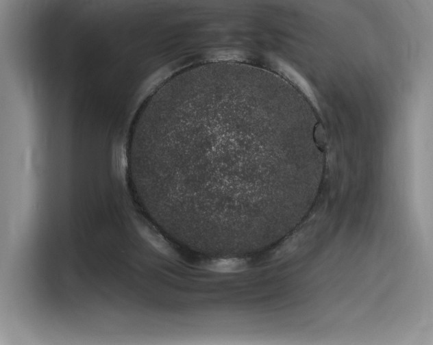 X0000116100059200911231134