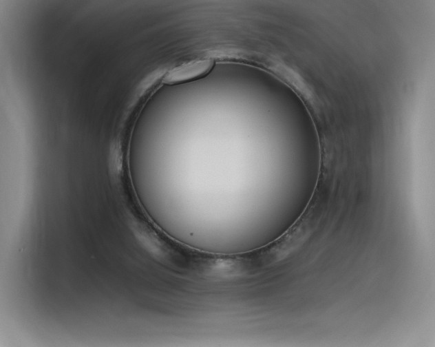 X0000116100060200911231134