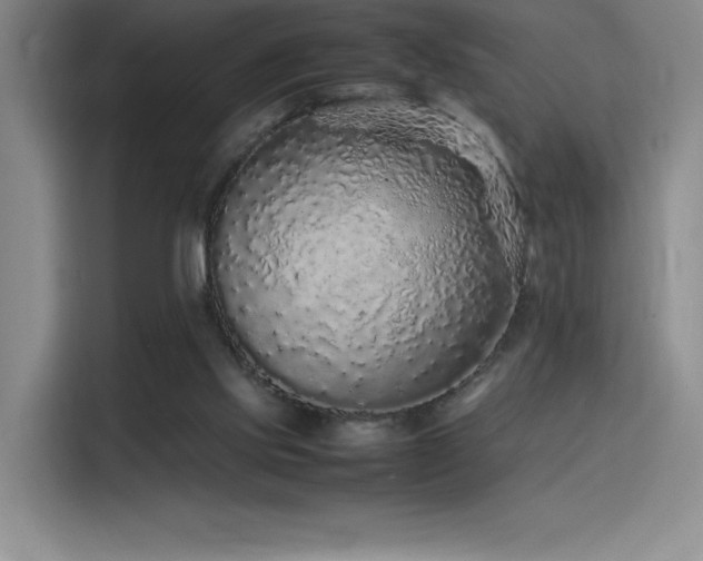 X0000116100061200911231134