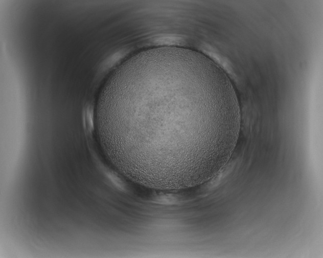 X0000116100062200911231134
