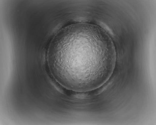 X0000116100065200911231134
