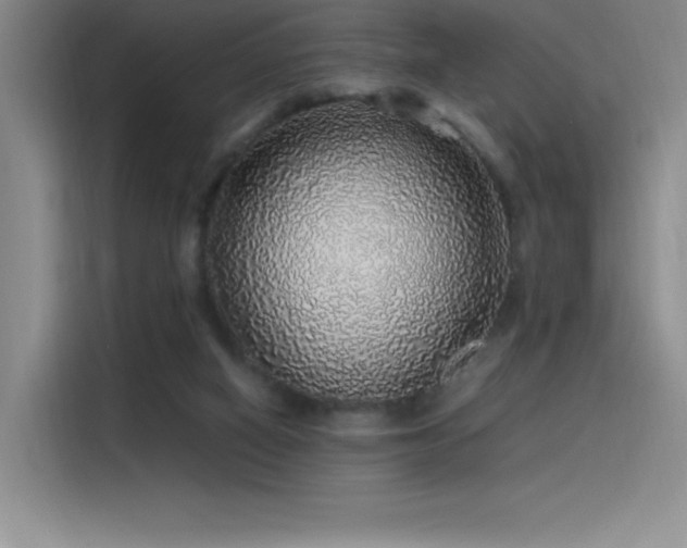 X0000116100066200911231134