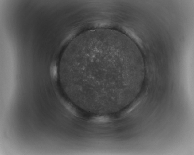 X0000116100067200911231134