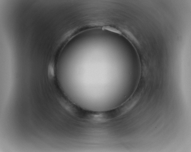 X0000116100068200911231134
