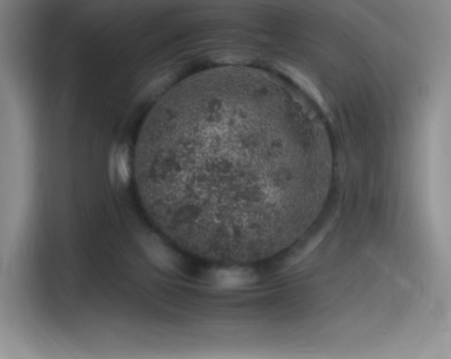 X0000116100069200911231134