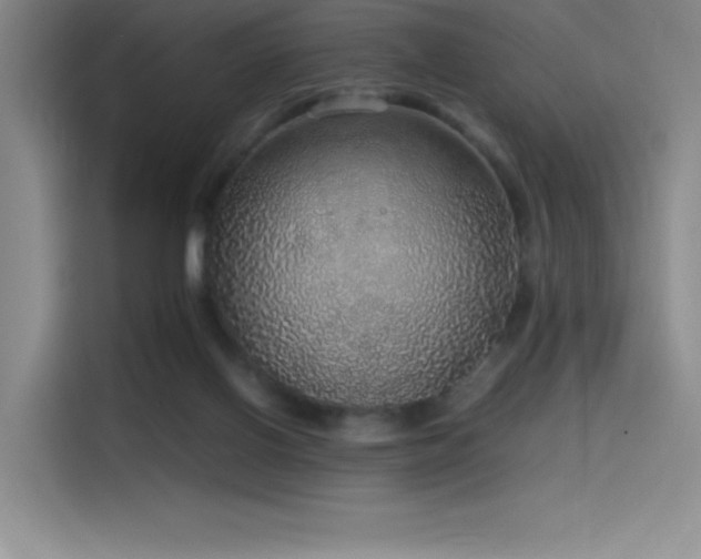 X0000116100070200911231134