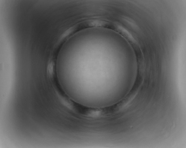 X0000116100071200911231134