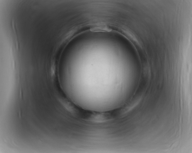 X0000116100072200911231134