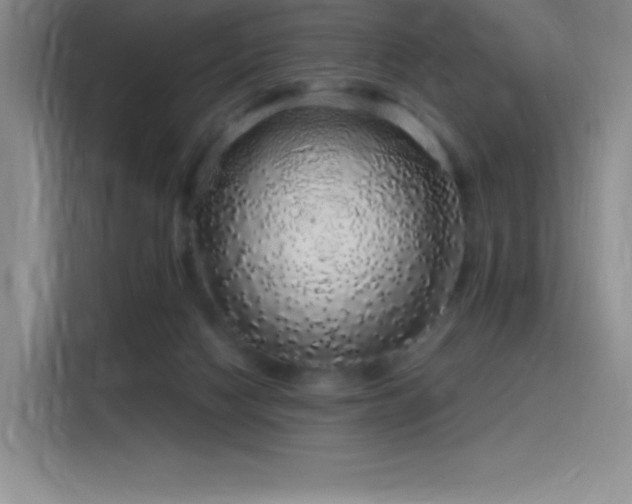 X0000116100074200911231134