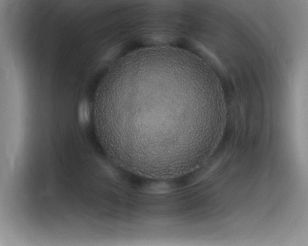X0000116100075200911231134