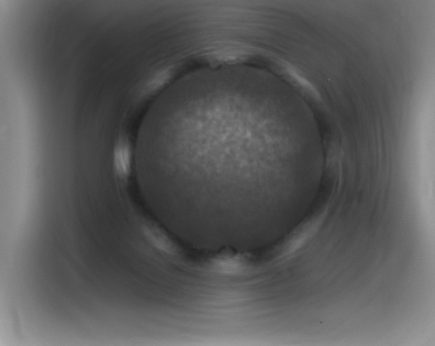 X0000116100076200911231134