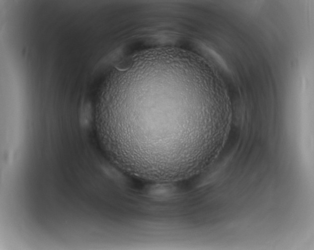 X0000116100077200911231134