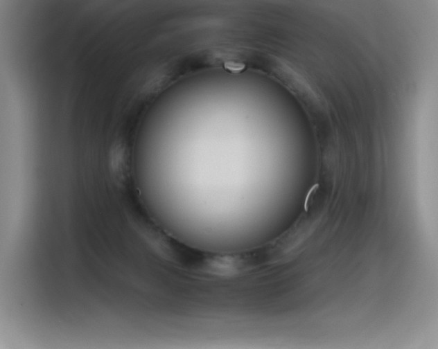 X0000116100079200911231134