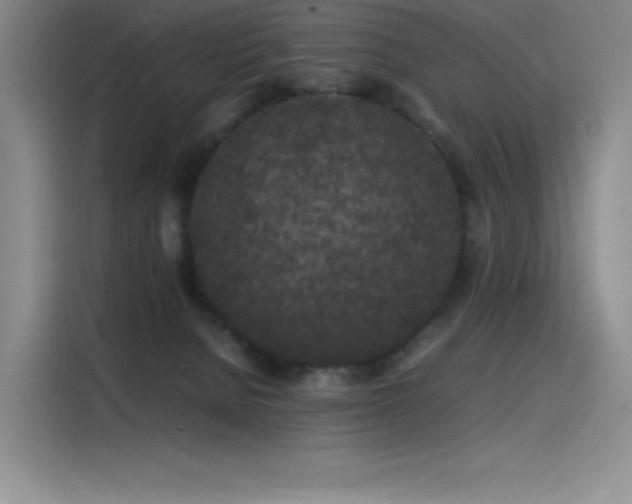X0000116100080200911231134