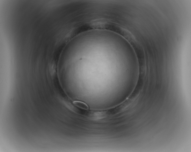 X0000116100081200911231134