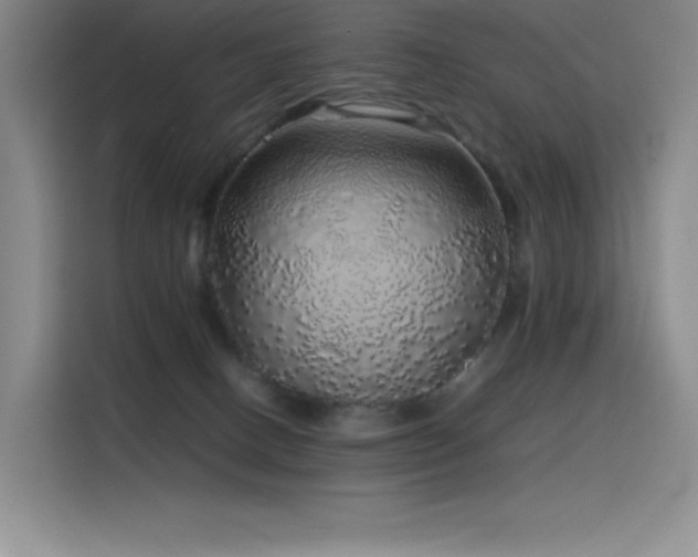 X0000116100082200911231134