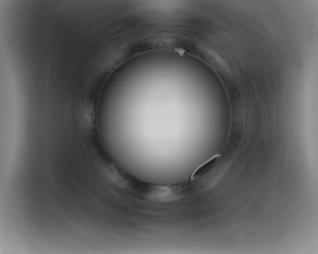 X0000116100083200911231134