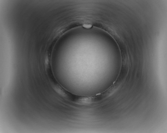 X0000116100084200911231134
