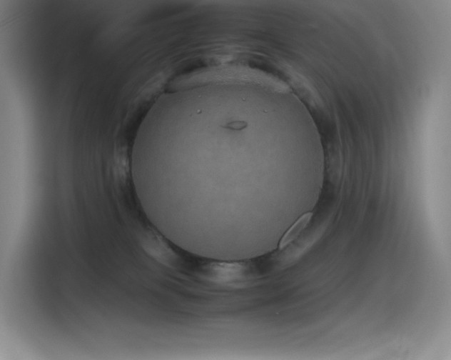 X0000116100085200911231134
