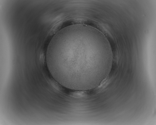 X0000116100086200911231134