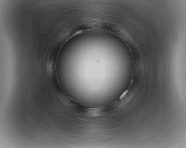 X0000116100088200911231134