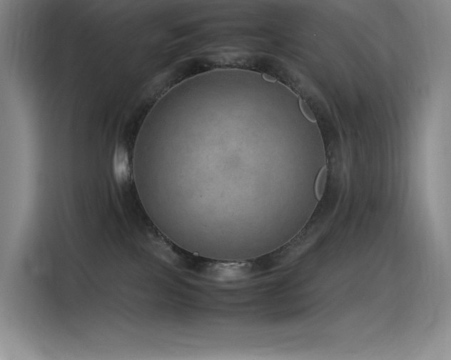 X0000116100089200911231134