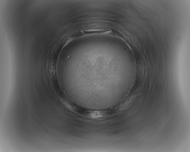 X0000116100091200911231134
