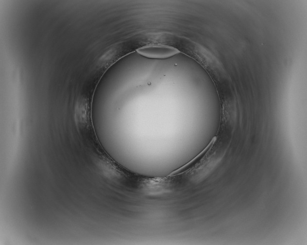 X0000116100092200911231134
