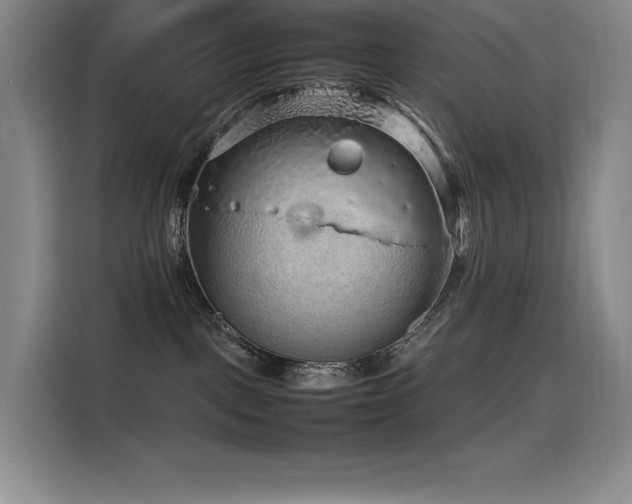 X0000116100093200911231134