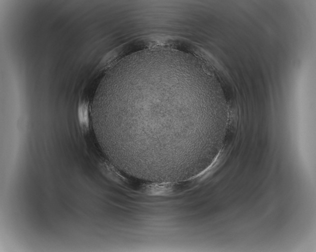 X0000116100094200911231134
